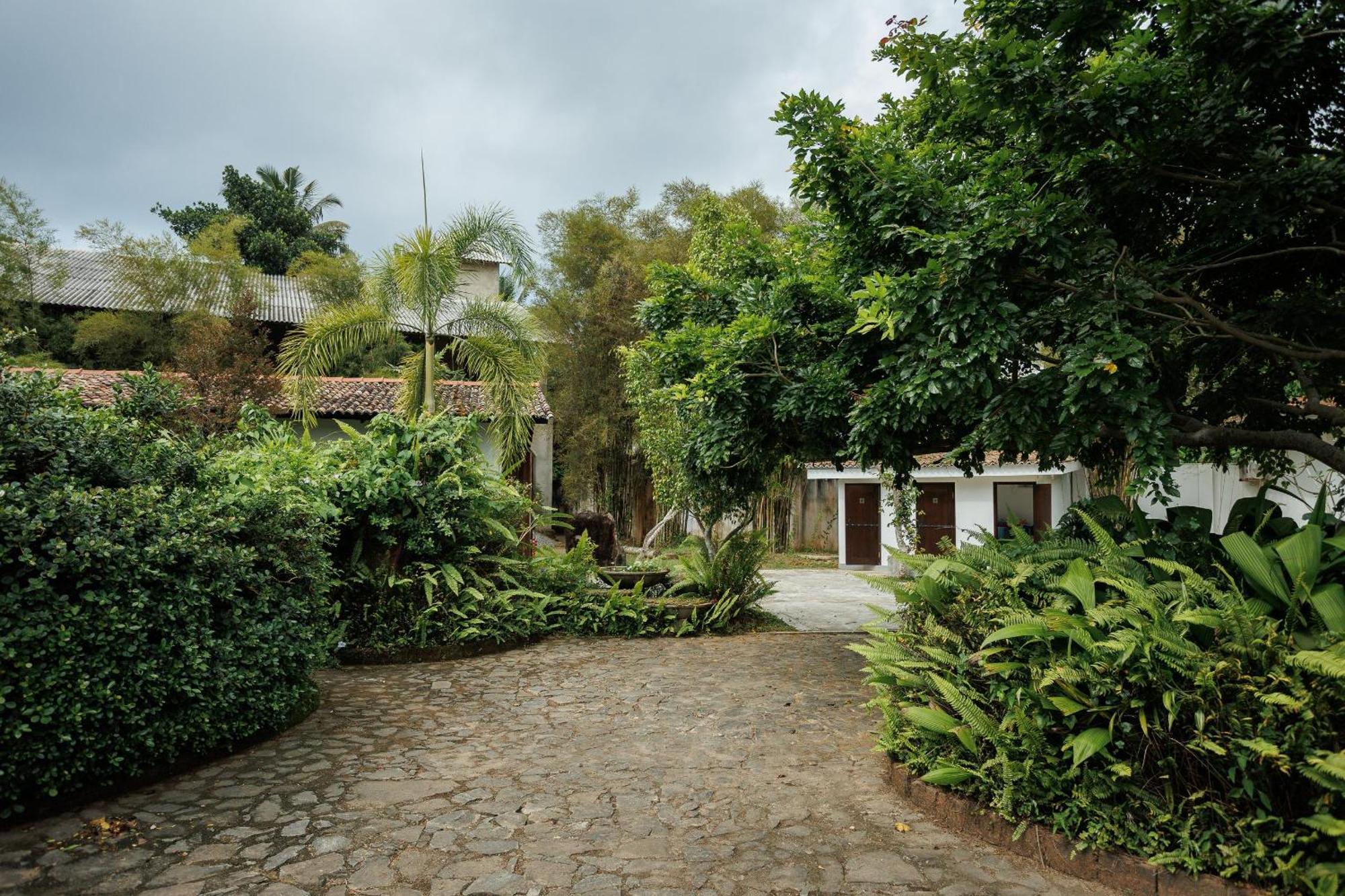 Villa White Queen *