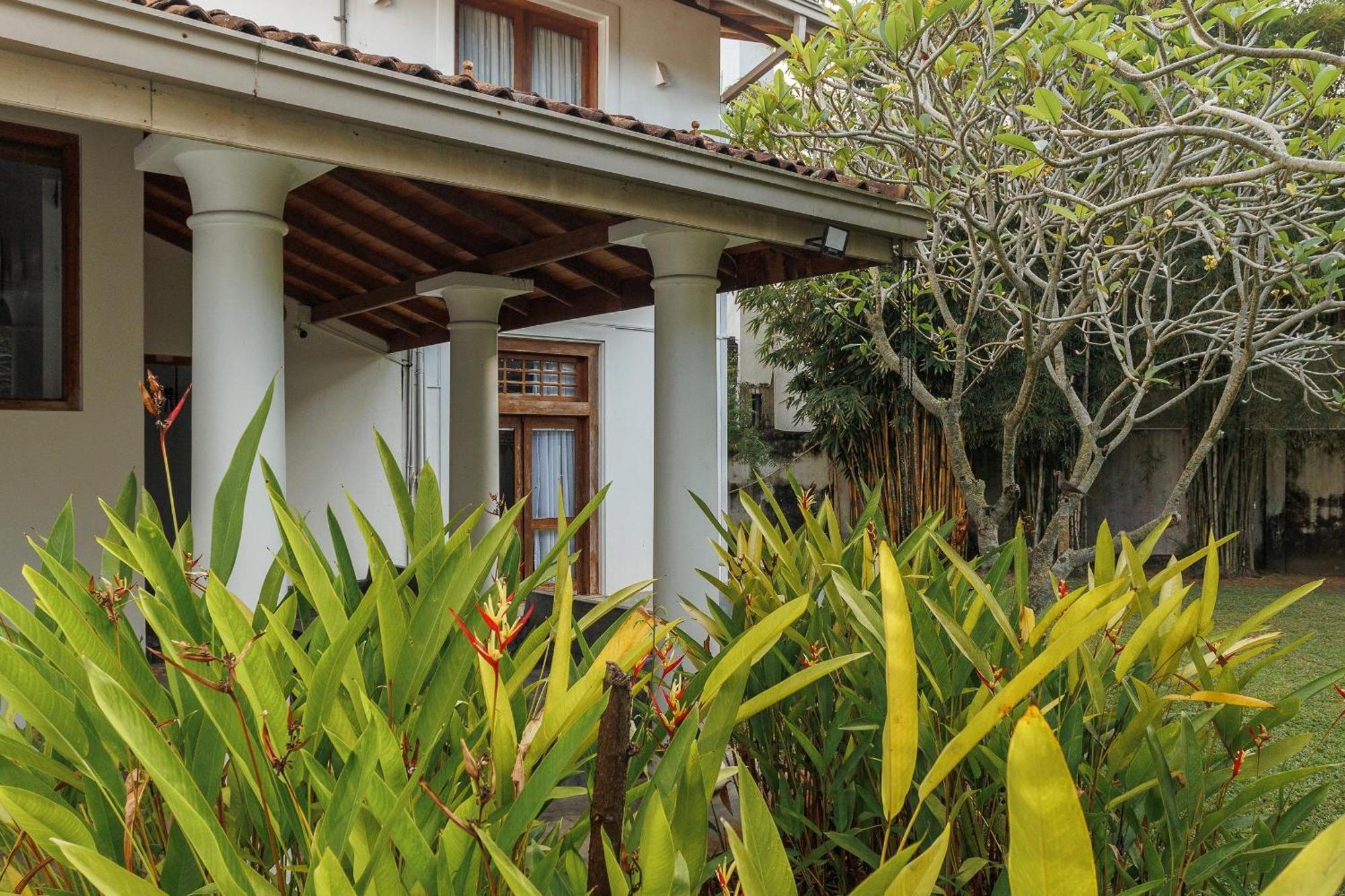 Villa White Queen