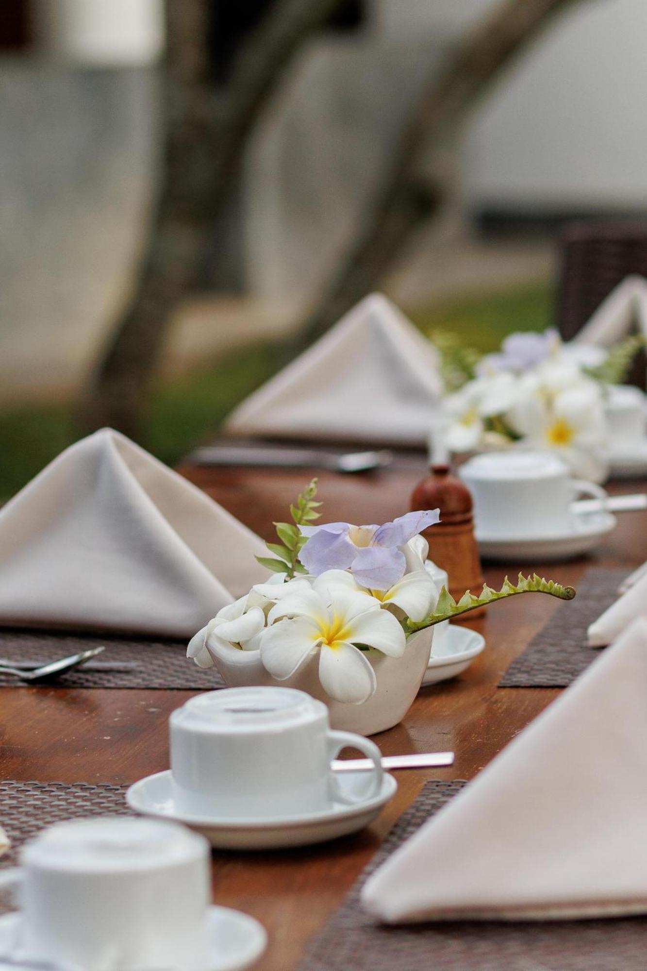 Villa White Queen *